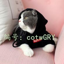 ЧӦ