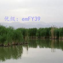 Ҽ