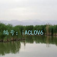 Ȼ