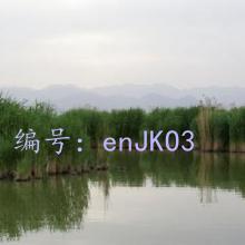 Ȼ