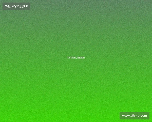 路跑 赛事总监_路跑赛事策划